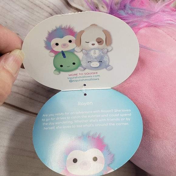 Squishmallows Hug Mees Rayen Sloth Target Plush Stuffed Toy 9 Inch 2022 - Picture 7 of 10